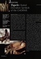Tupele, les symboles du panier divinatoire chokwe