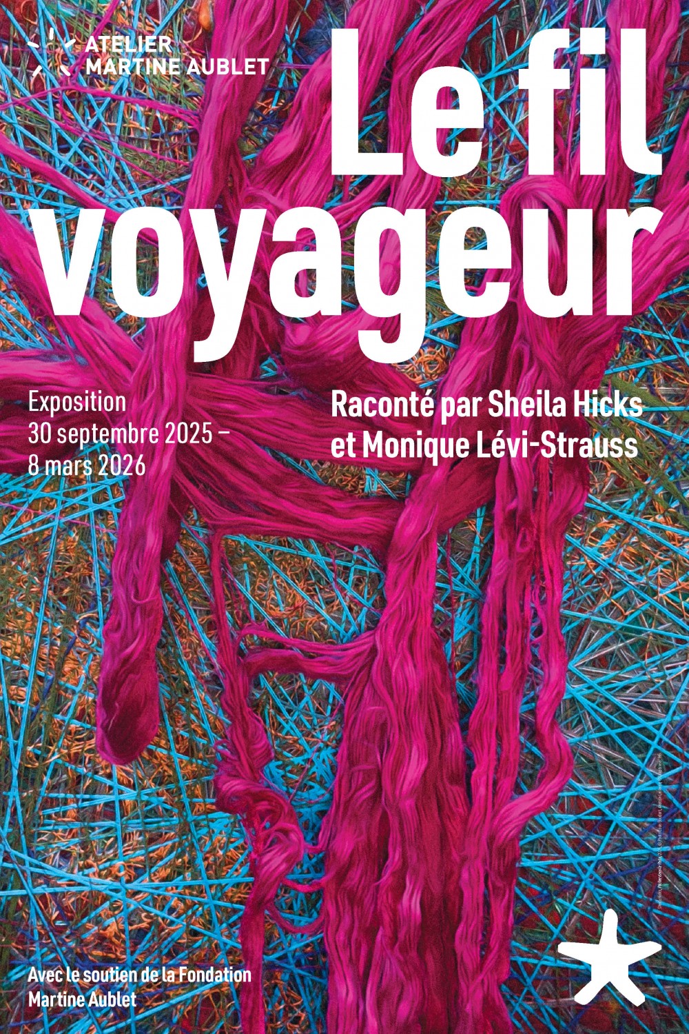 Fils musée du quai Branly levi strauss