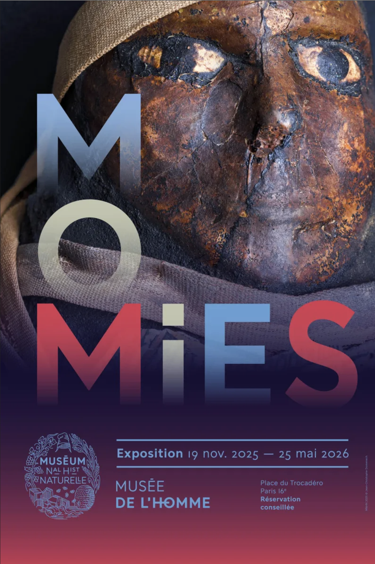 Momies Musée de l'homme